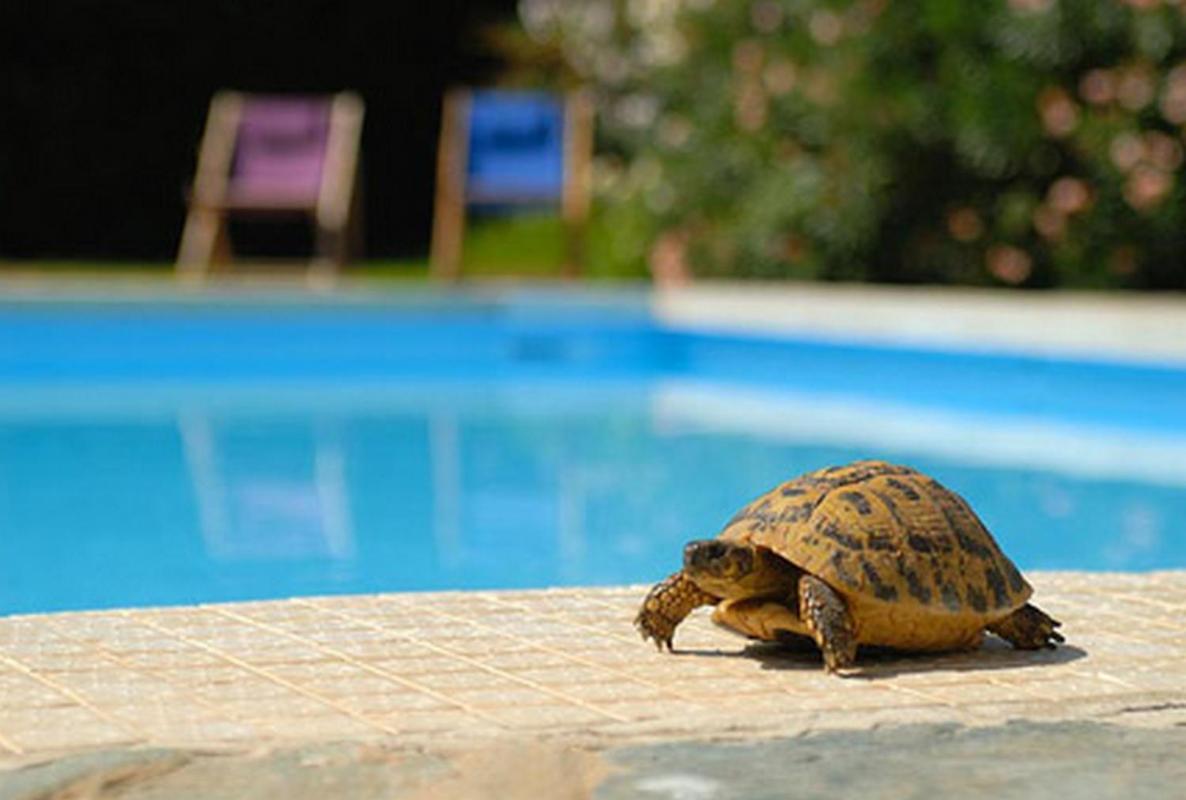 Sun Beach Hotel Ajaccio  Exterior photo